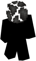Skinfile