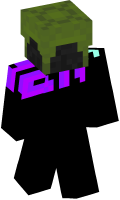 Skinfile