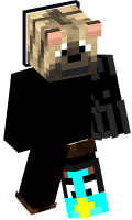 Skinfile