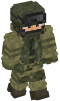 Skinfile