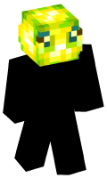 Skinfile