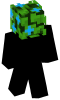 Skinfile