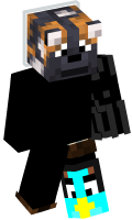 Skinfile