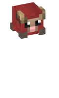 Skinfile