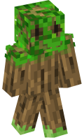 Skinfile