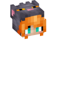 Skinfile