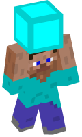 Skinfile