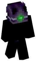 Skinfile