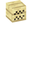 Skinfile