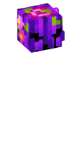 Skinfile