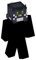 Skinfile