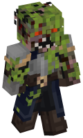 Skinfile