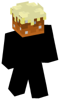 Skinfile