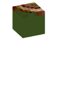 Skinfile