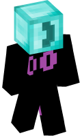 Skinfile
