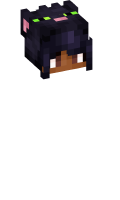 Skinfile