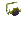 Skinfile