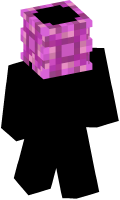 Skinfile
