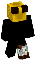 Skinfile