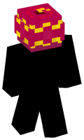 Skinfile