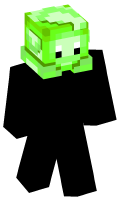 Skinfile