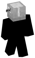 Skinfile