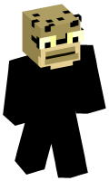 Skinfile