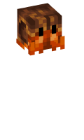 Skinfile