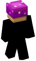 Skinfile