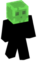 Skinfile