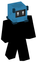 Skinfile