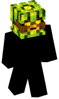 Skinfile