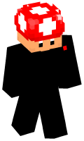 Skinfile