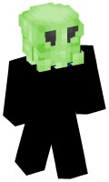 Skinfile