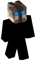 Skinfile