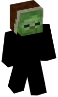 Skinfile