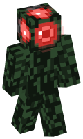 Skinfile