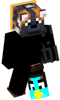 Skinfile