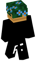 Skinfile