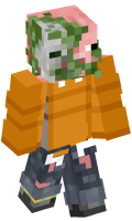 Skinfile