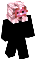 Skinfile