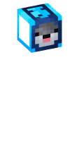 Skinfile