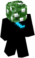 Skinfile