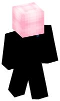 Skinfile