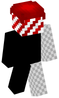 Skinfile