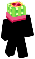Skinfile