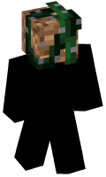 Skinfile
