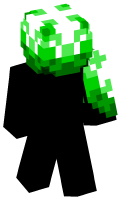 Skinfile