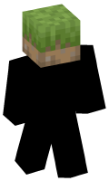 Skinfile