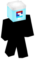 Skinfile